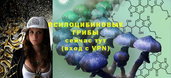 индика Бородино