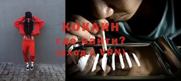 индика Бородино