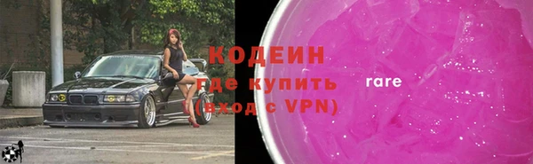 индика Бородино