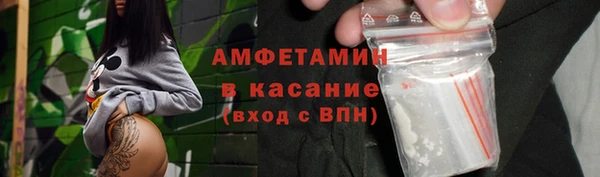 индика Бородино
