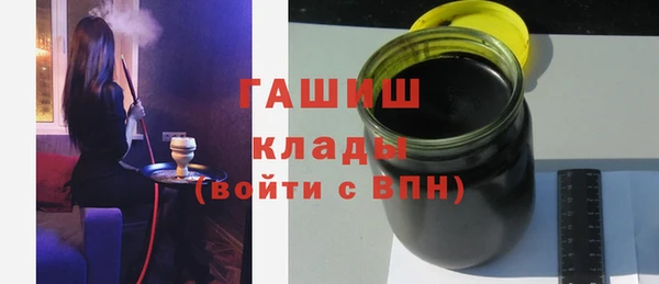 индика Бородино