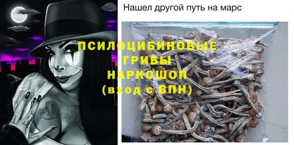 индика Бородино