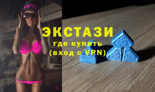 индика Бородино