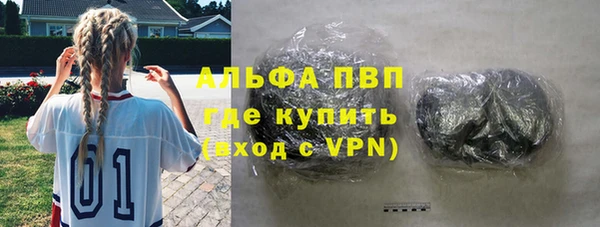 индика Бородино
