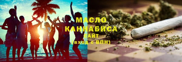 индика Бородино