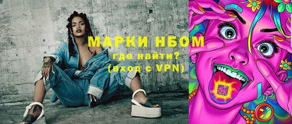 индика Бородино