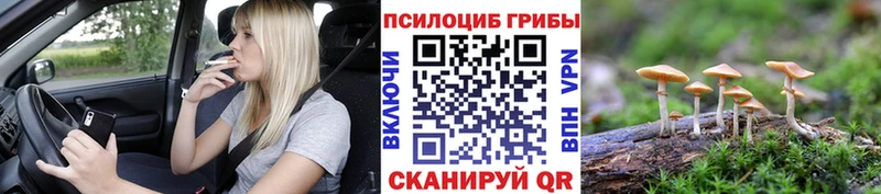 Галлюциногенные грибы MAGIC MUSHROOMS  маркетплейс как зайти  Сосногорск  купить закладку 